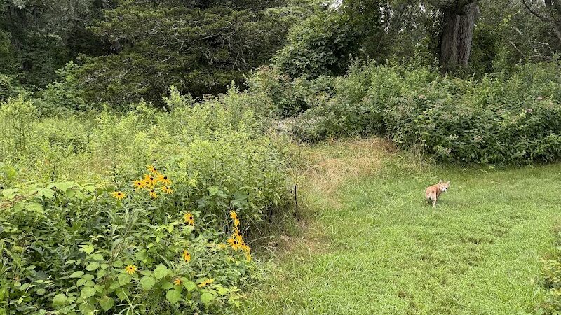 Sheep Farm Park - Groton, CT