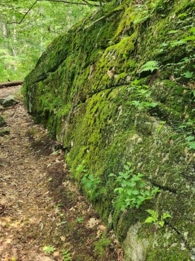 Sheep Farm Park - Groton, CT