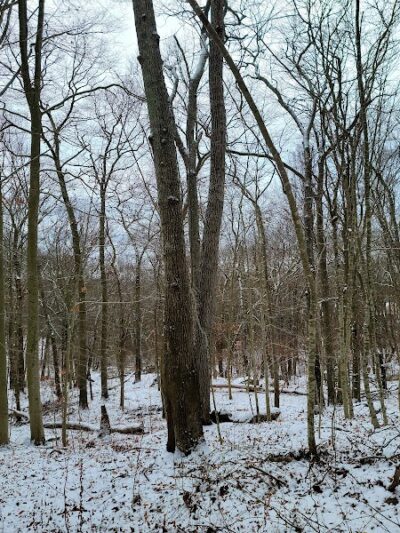 Sheep Farm Park - Groton, CT