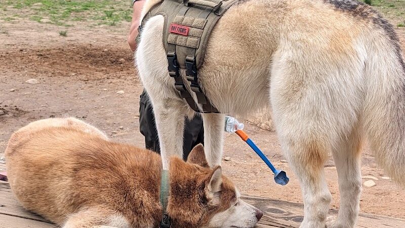 The Copp Family Park - Groton, CT