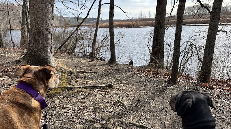 The Copp Family Park - Groton, CT
