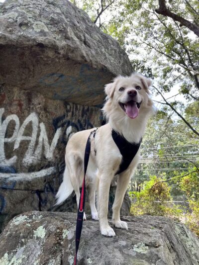 Haley Farm State Park - Groton, CT