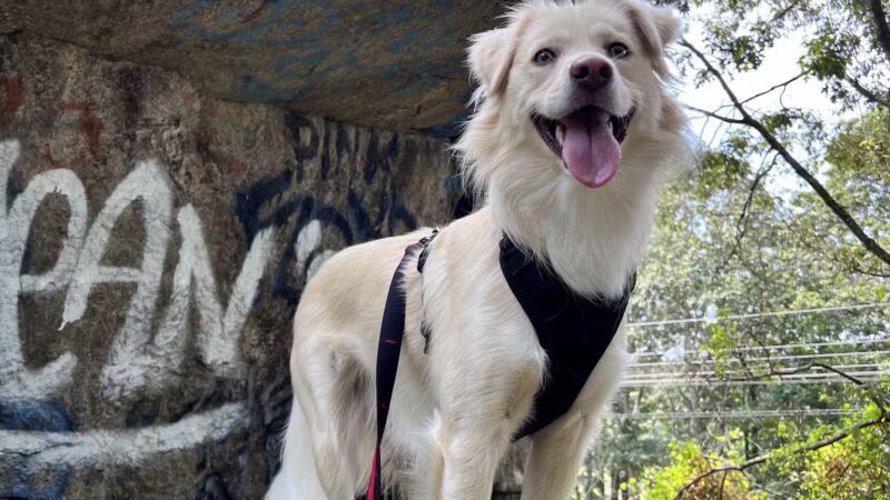 Haley Farm State Park - Groton, CT