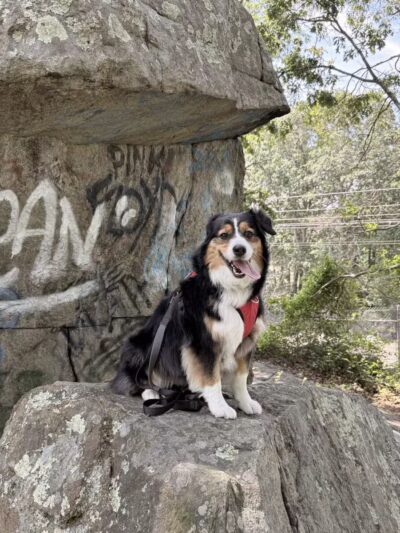 Haley Farm State Park - Groton, CT