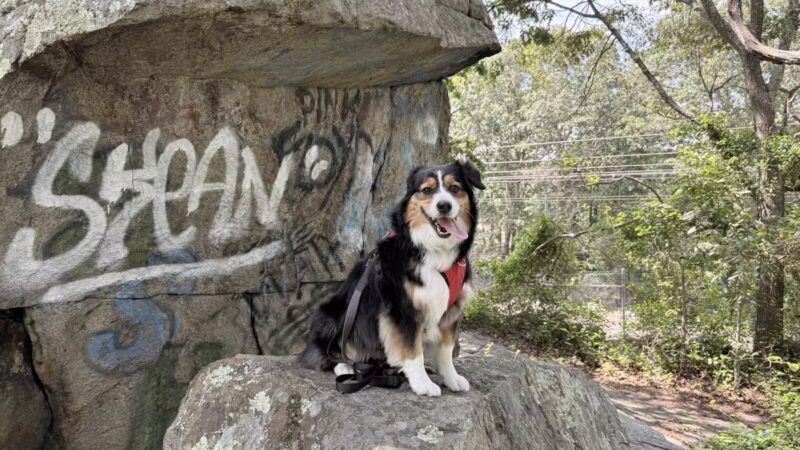 Haley Farm State Park - Groton, CT