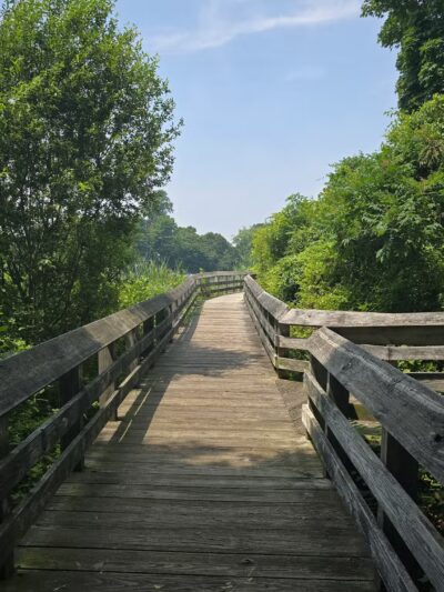 Poquonnock River Boardwalk - Groton, CT