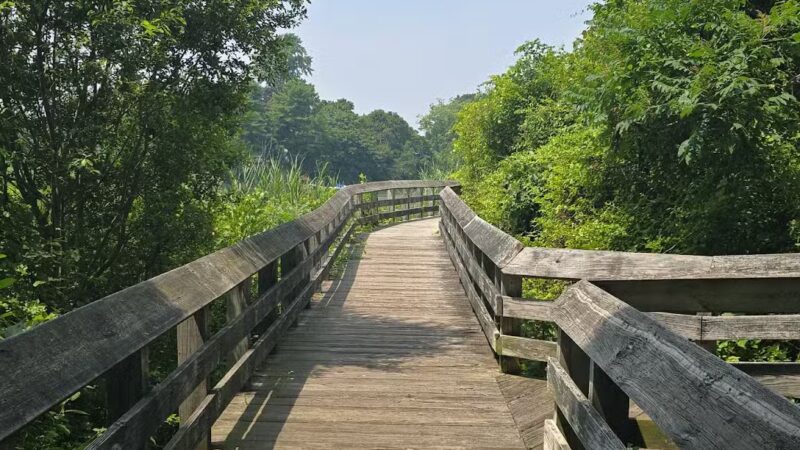 Poquonnock River Boardwalk - Groton, CT