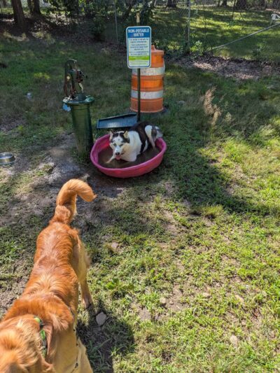 The Copp Family Park - Groton, CT