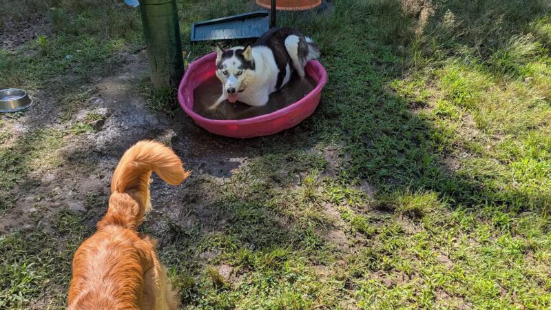 The Copp Family Park - Groton, CT