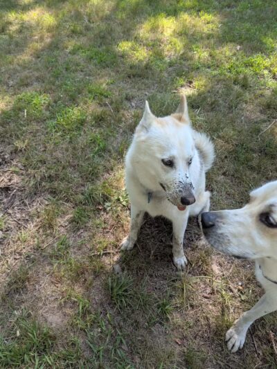 The Copp Family Park - Groton, CT