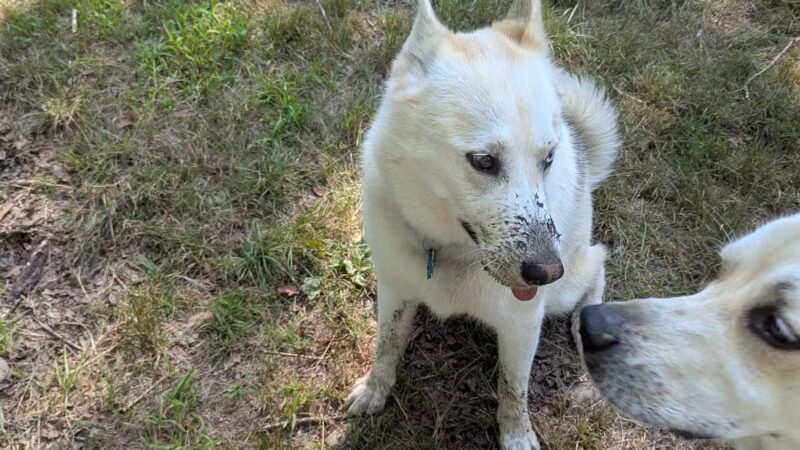 The Copp Family Park - Groton, CT