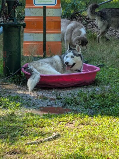 The Copp Family Park - Groton, CT
