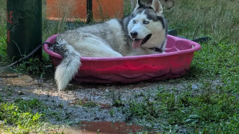 The Copp Family Park - Groton, CT