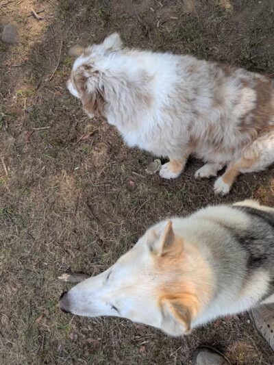 The Copp Family Park - Groton, CT