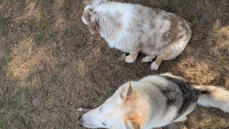 The Copp Family Park - Groton, CT