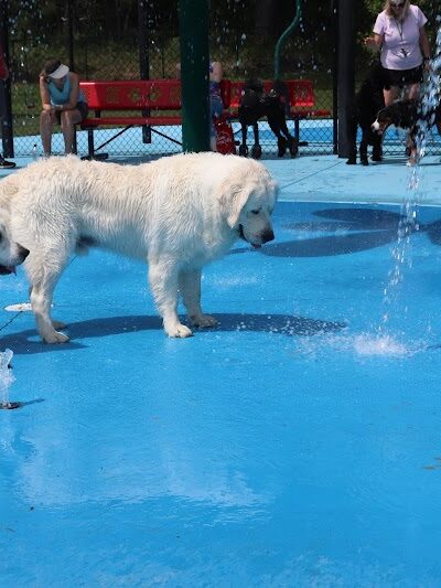 Happy Hounds Playground - Membership Dog Park - Grover, MO
