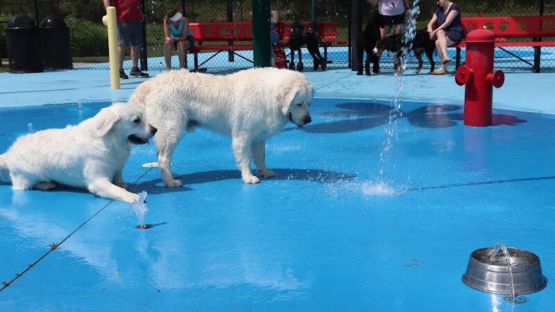 Happy Hounds Playground - Membership Dog Park - Grover, MO