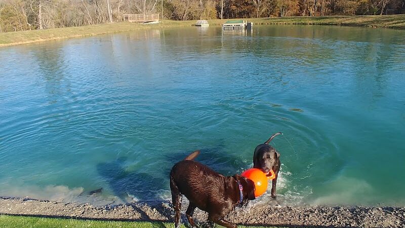 Happy Hounds Playground - Membership Dog Park - Grover, MO