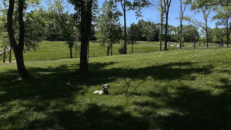 Happy Hounds Playground - Membership Dog Park - Grover, MO