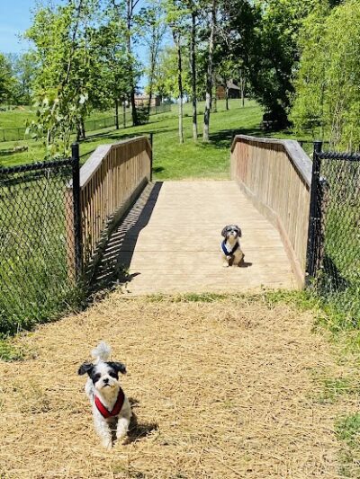Happy Hounds Playground - Membership Dog Park - Grover, MO