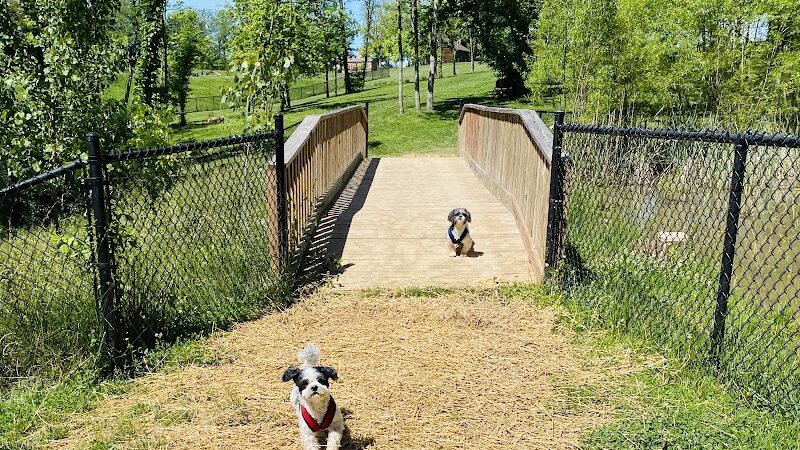 Happy Hounds Playground - Membership Dog Park - Grover, MO