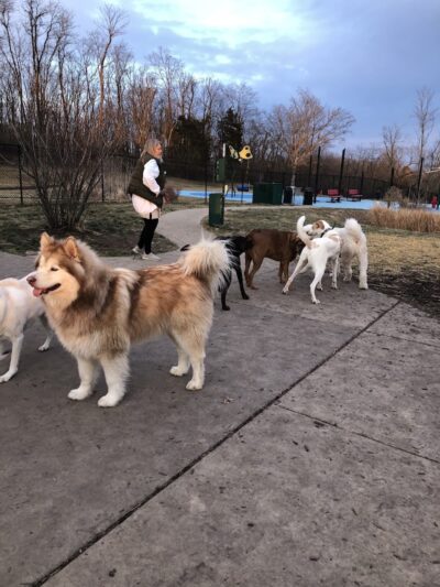 Happy Hounds Playground - Membership Dog Park - Grover, MO