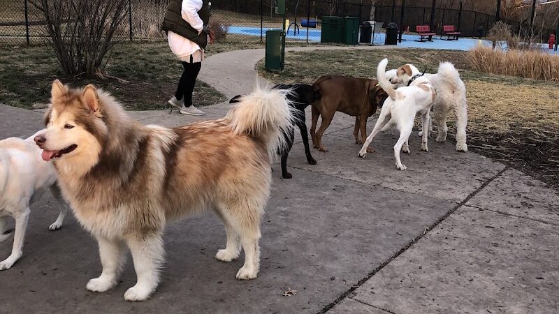 Happy Hounds Playground - Membership Dog Park - Grover, MO