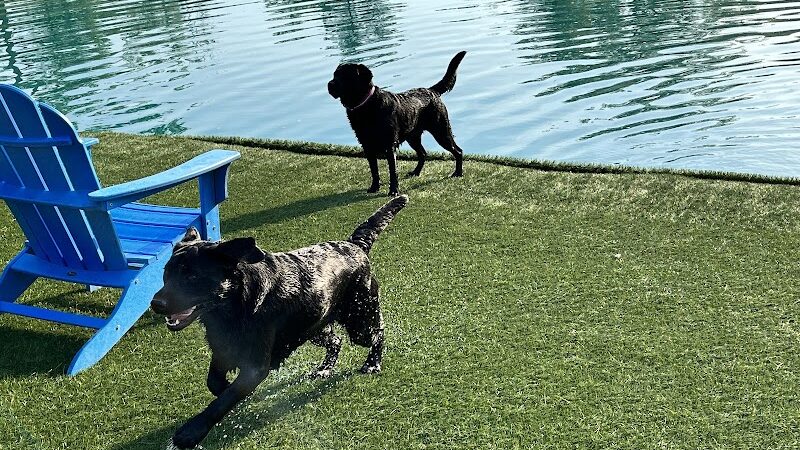 Happy Hounds Playground - Membership Dog Park - Grover, MO