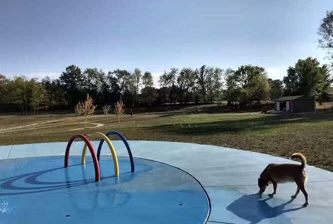 Happy Hounds Playground - Membership Dog Park - Grover, MO