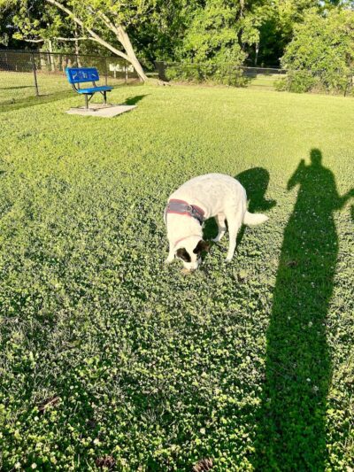 Bark Park - Gulfport, MS