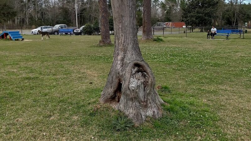 Bark Park - Gulfport, MS