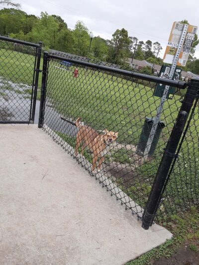 Bark Park - Gulfport, MS