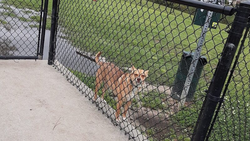 Bark Park - Gulfport, MS