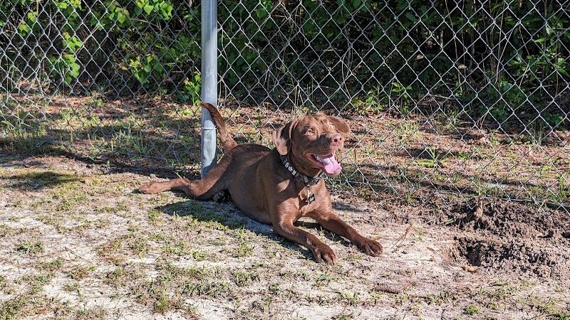 Seabee Base Dog Park - Gulfport, MS