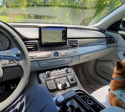 Seabee Base Dog Park - Gulfport, MS