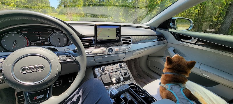 Seabee Base Dog Park - Gulfport, MS