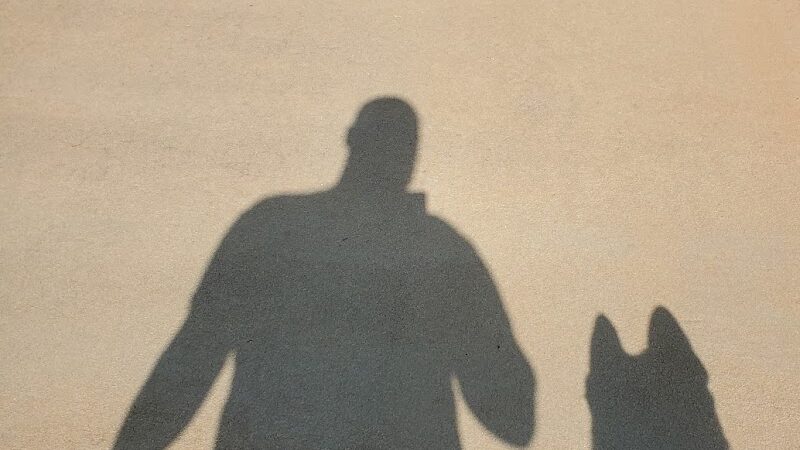 Seabee Base Dog Park - Gulfport, MS