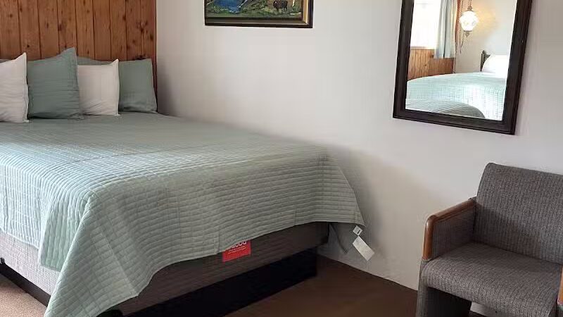 Dreamland Motel by adoba®️ - Gulliver,