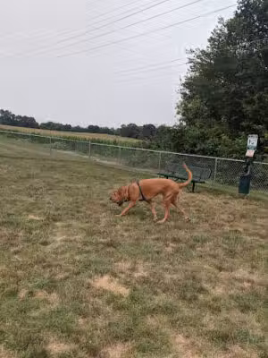 Dog Park at Love’s Travel Stops - Hagerstown, MD