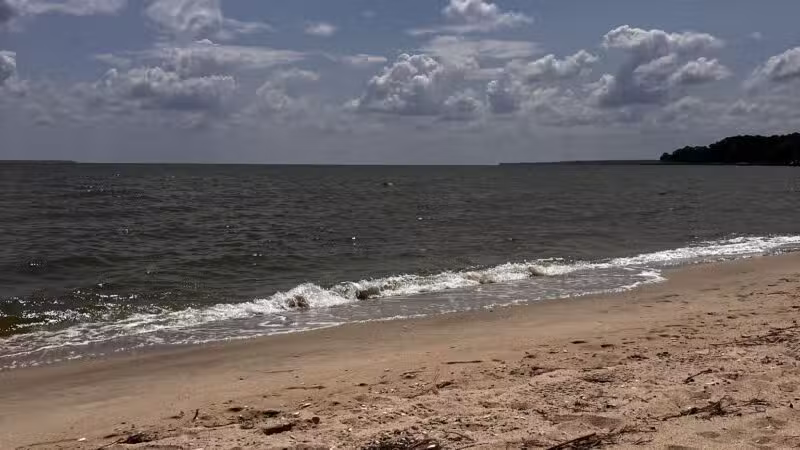 Coles Point Marina and RV Resort - Hague, VA