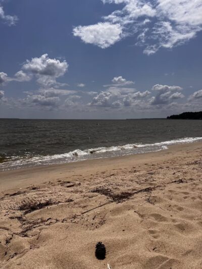 Coles Point Marina and RV Resort - Hague, VA