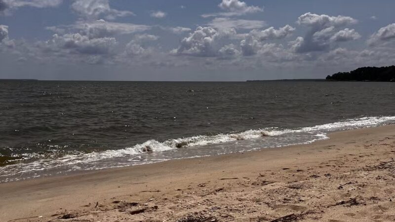 Coles Point Marina and RV Resort - Hague, VA