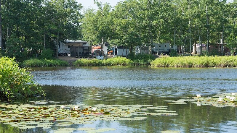 Coles Point Marina and RV Resort - Hague, VA