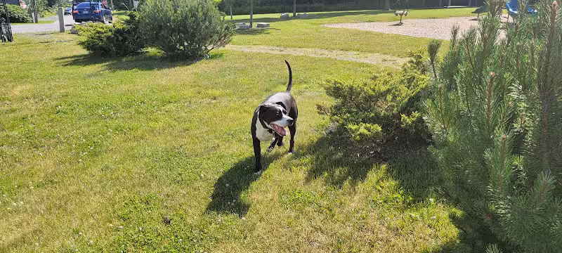 Vaughan Field Park - Hallowell, ME