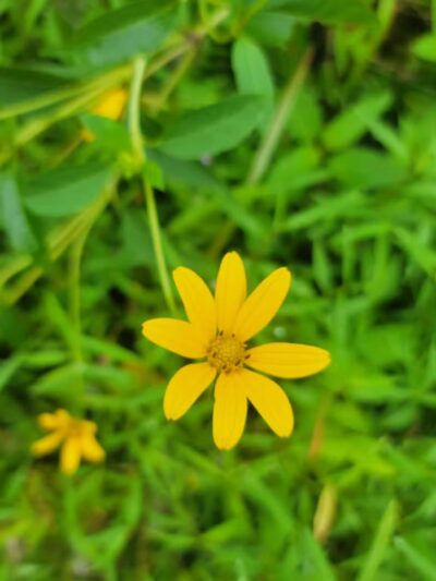 Parking Area Lake Ontelaunee Trails - Hamburg, PA