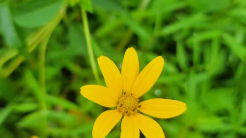 Parking Area Lake Ontelaunee Trails - Hamburg, PA
