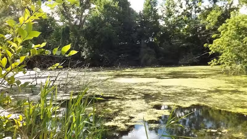 Winkelhaus Park - Hamburg,