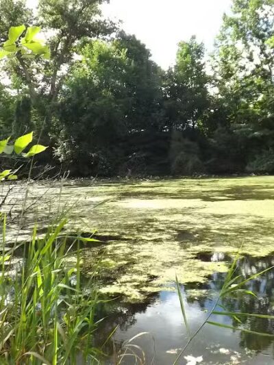 Winkelhaus Park - Hamburg,