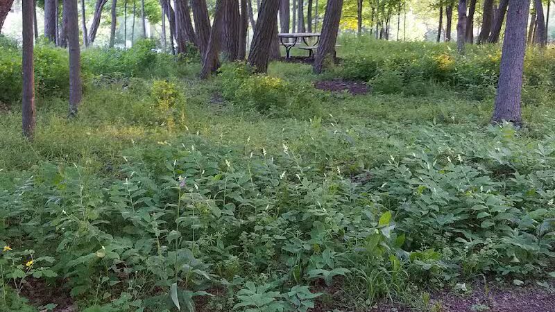 Winkelhaus Park - Hamburg,