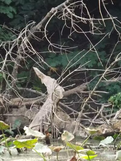 Winkelhaus Park - Hamburg,